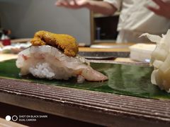 -鲤·鮨KOISUSHI