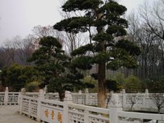 -南京东郊国宾馆