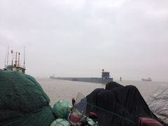 iphone_upload_pic-漩门湾国家湿地公园