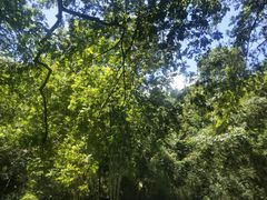 -大围山峡谷漂流
