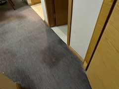 -上海如意智慧酒店(上海科学院店)