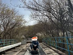 -富斯特索道