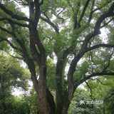 浙江大学 之江校区