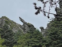 -大九湖