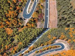 -塞罕坝国家级自然保护区