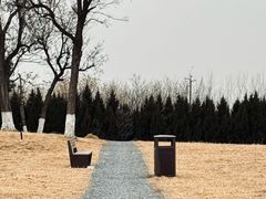 -汉长安城未央宫国家考古遗址公园