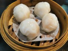 添运来虾饺皇-添运来(茶园奥园广场店)