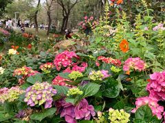 -人民公园(罗湖区)