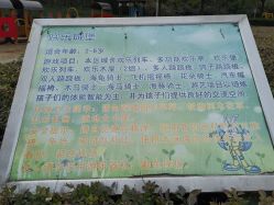 -酷酷兔少儿拓展天地
