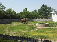 -西安秦岭野生动物园