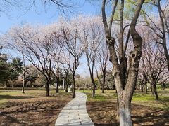 -长春公园(普阳街道)