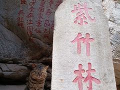 -终南山南五台景区