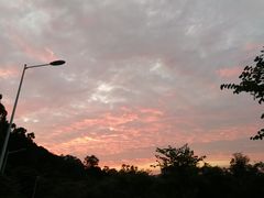 -火炉山森林公园