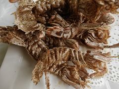 -宾朋海鲜特色美食餐厅·纯手工鲅鱼水饺(兴海路店)