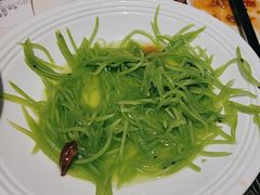 -大铁勺新津菜(中北永旺店)