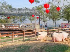 -盈香心动乐园