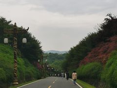 -宜兴龙背山森林公园
