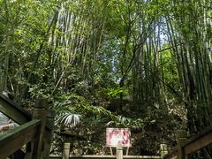 -凤栖山
