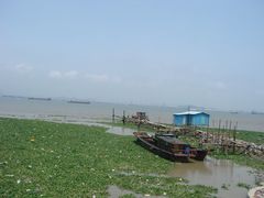 蓝天白云浮莲绿-海鸥岛