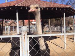 -意大利农场度假村