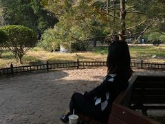 -八大关景区