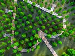 -泗洪洪泽湖湿地景区