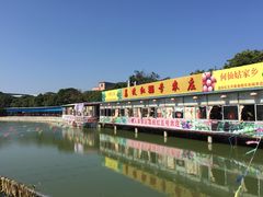 -荔枝红五号农庄