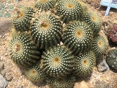 -宁波儿童公园(鄞州区)