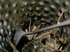 -福禧荟·海鲜自助