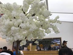 -艾薯夫妇Aysh(福田星河COCOPark店)