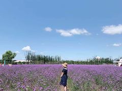 -渔岛海洋度假区