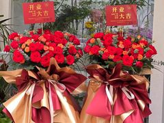 -淘花源花艺鲜花店 开业花篮 绿植(南部商务区店)