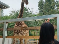 -水上乐园·欢乐世界