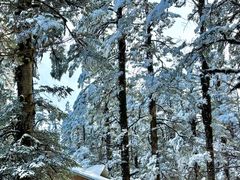 -瓦屋山景区