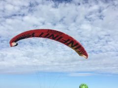 -费特希耶滑翔伞