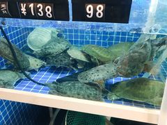 -金龙·打边炉(南京西路店)