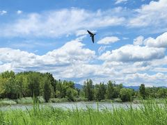 -野鸭湖国家湿地公园