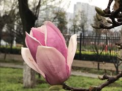 -南京农业大学(浦口校区)