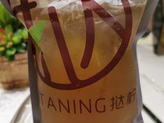 手打柠檬五香茉莉-TANING挞柠·手挞柠檬茶(顺德东乐旗舰店)
