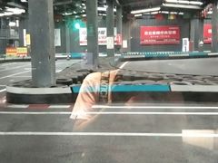 -速马赫卡丁车(琶洲店)