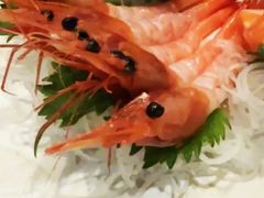 -鸟泉居酒屋·烧鸟·酒馆(百子湾店)