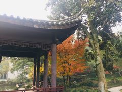 -东航云逸酒店(九溪烟树店)