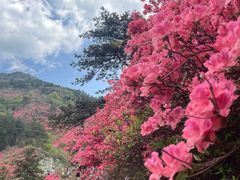 -木兰云雾山