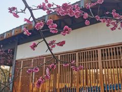 -嘉北郊野公园