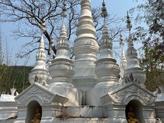 -西双版纳原始森林公园