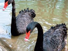 -南戴河国际娱乐中心