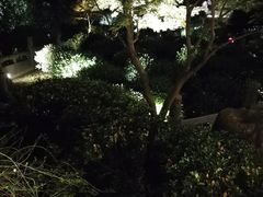 -十八棵（老龙井）御茶园(老龙井店)