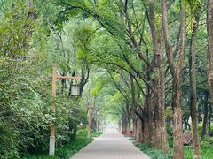 -洛阳市隋唐城遗址植物园