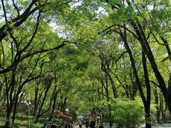 -石峰公园