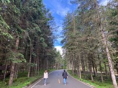 -硗碛藏寨·神木垒景区